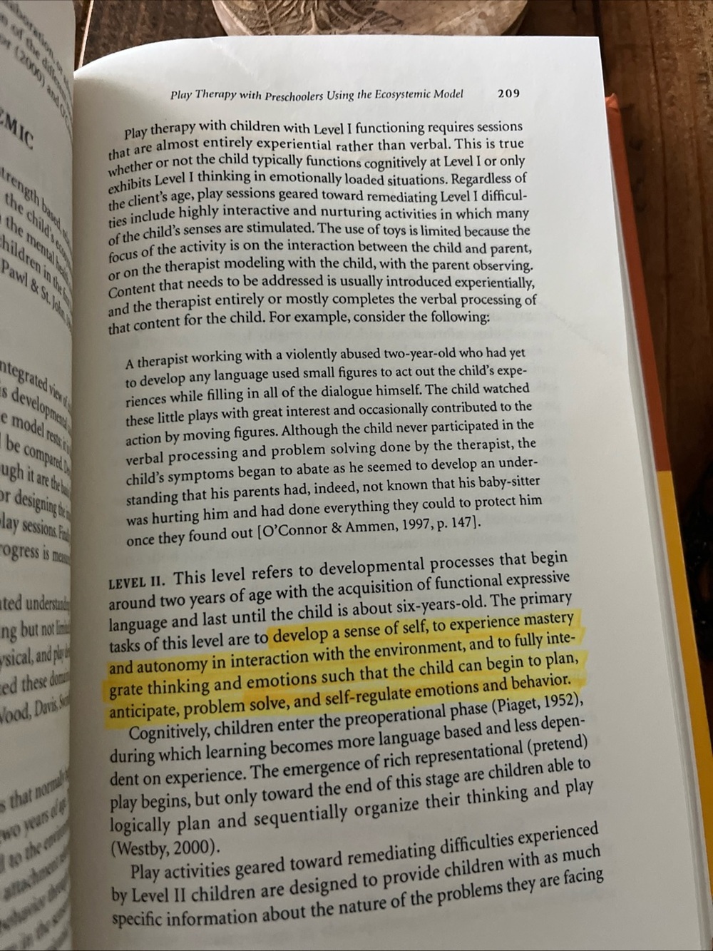 The handbook of Training and Practice Infant And Preschool Mental Health Hard - Picture 9 of 10